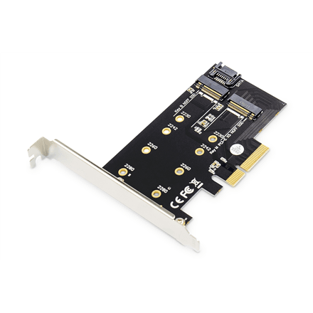 Digitus | M.2 NGFF / NVMe SSD PCI Express 3.0 (x4) Add-On Card | DS-33170 – nuotrauka 1