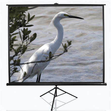 Elite Screens Tripod Series – nuotrauka 1