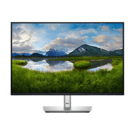 Dell P2425 – nuotrauka 1
