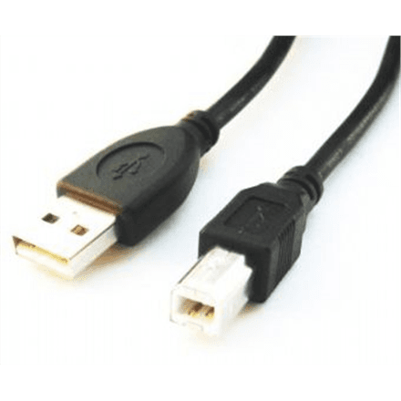 Cablexpert | CCP-USB2-AMBM-6 | USB-A to USB-B USB A | USB B – nuotrauka 1