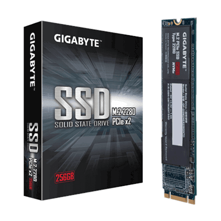 Gigabyte GP-GSM2NE8256GNTD – nuotrauka 1