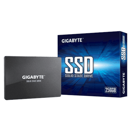 Gigabyte GP-GSTFS31256GTND – image 1