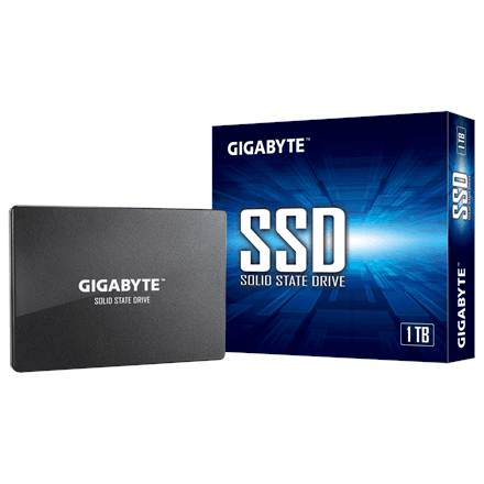 Gigabyte GP-GSTFS31100TNTD – nuotrauka 1