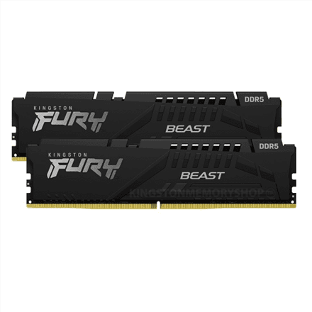 Kingston Fury Beast RGB – nuotrauka 1