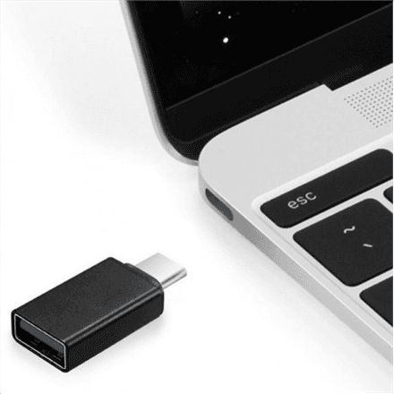 Gembird | USB 2.0 Type-C adapter (CM/AF) | Type-C | USB – image 1