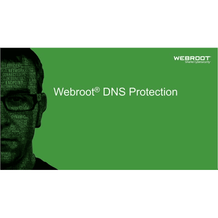Webroot | DNS Protection with GSM Console | 1 year(s) | License quantity 10-99 user(s) – image 1