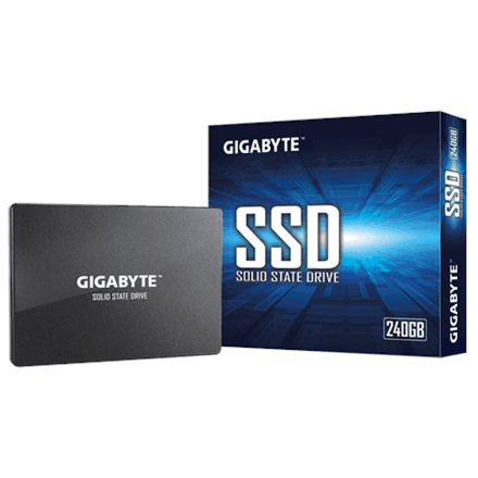 Gigabyte GP-GSTFS31240GNTD – nuotrauka 1