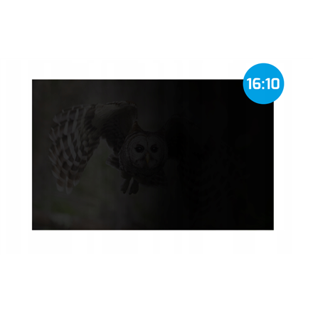 Natec | Privacy Filter Owl, 14", 16:10 | NFP-2477