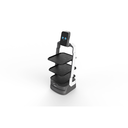 Orion Star | OS-R-DR01 AI Delivery Robot-LuckiBot