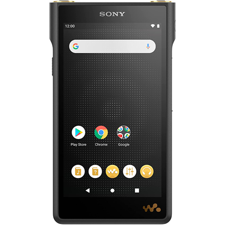Sony | Walkman Digital Media Player | NW-WM1AM2 | USB connectivity | Bluetooth | Internal memory 103 GB | Wi-Fi