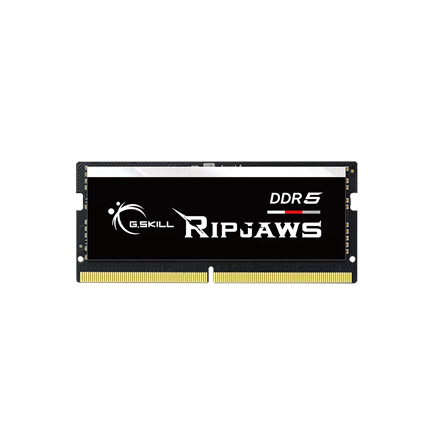 G.Skill | Ripjaws | 32 GB | DDR5 | 4800 MHz | PC/server | Registered No | ECC No