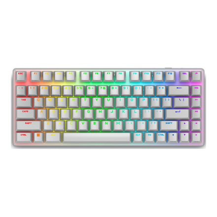 Dell 545-BBFR Alienware Pro | Gaming Keyboard | Wireless | Bluetooth | US | Alienware Linear Mechanical | Lunar Light