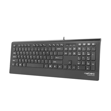 Natec Keyboard, Barracuda, US Layout, Slim | Natec | Keyboard | Barracuda | Standard | Wired | US | Black