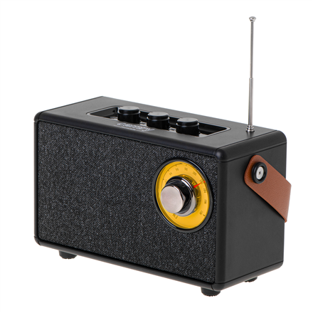 Camry | Speaker with radio | CR 1902 B | Black | Wireless connection